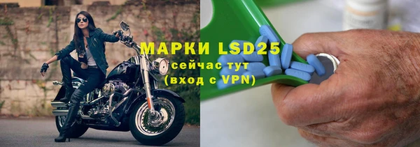 прущие грибы Абаза