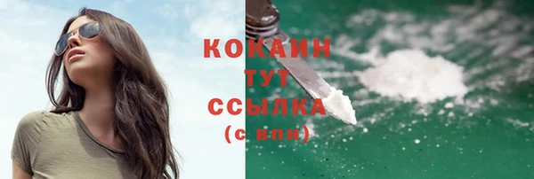 прущие грибы Абаза