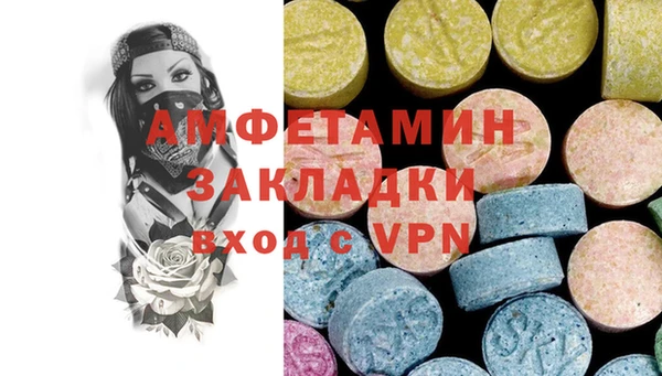 прущие грибы Абаза