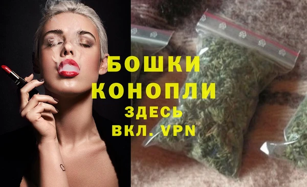 стафф Сясьстрой