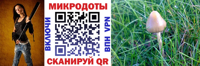 Галлюциногенные грибы GOLDEN TEACHER  Суоярви 